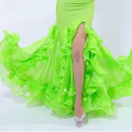 Belly Dance Performance Skirt