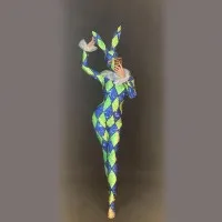 Bunny Stage Costume